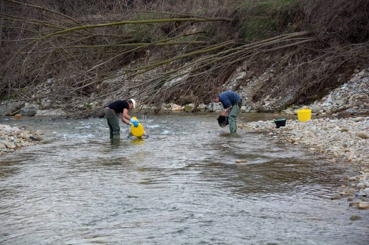 Unvergessliche Abenteuer Goldflakes waschen